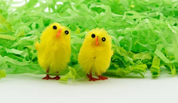 Påskägg på gröna papper med kyckling — Stockfoto