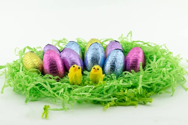 Easter Eggs on green paper with chicken — Stock Photo, Image