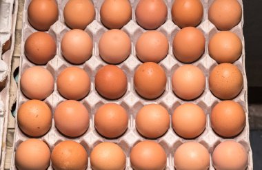 Tavuk yumurtası tepsilerde yığılmış