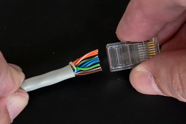 Montage Une Fiche Rj45 Extrémité Câble Ethernet — Photo
