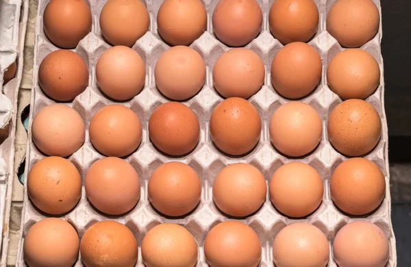 Tavuk yumurtası tepsilerde yığılmış
