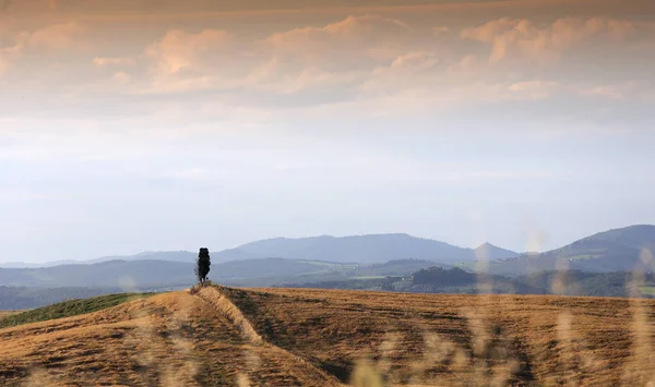 Crete Senesi, siena, Toscana, Italien — Stockfoto