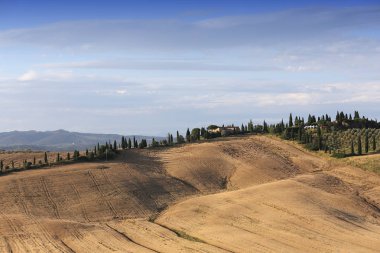Girit Senesi, siena, Toskana, İtalya