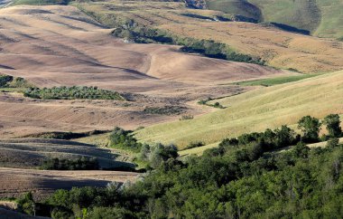 Girit Senesi, siena, Toskana, İtalya