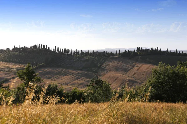 Crete Senesi, siena, Toscana, Olaszország — Stock Fotó