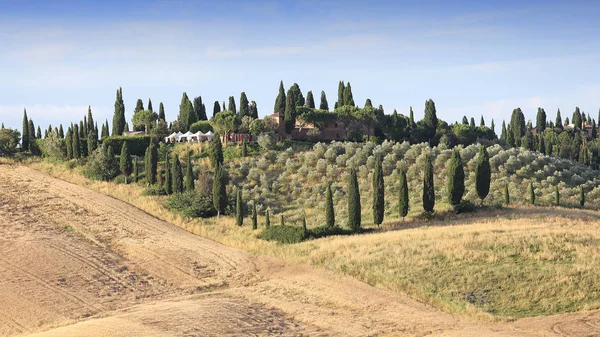 Creta Senesi, siena, toscana, italia —  Fotos de Stock