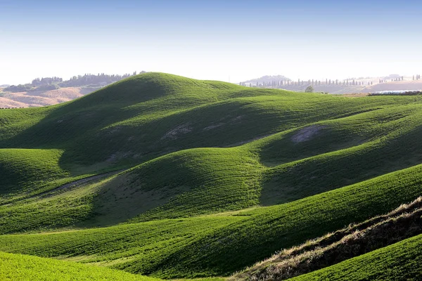 Crete Senesi, siena, Toscana, Olaszország — Stock Fotó