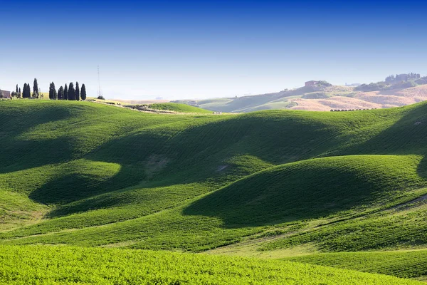 Crete Senesi, siena, Toskania, Włochy — Zdjęcie stockowe