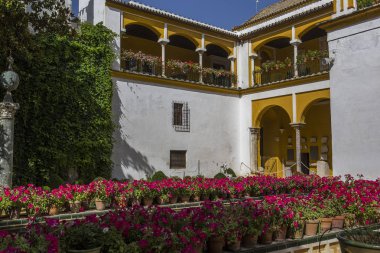 Casa de Pilatos, Sevilla, Andalusia, İspanya İç