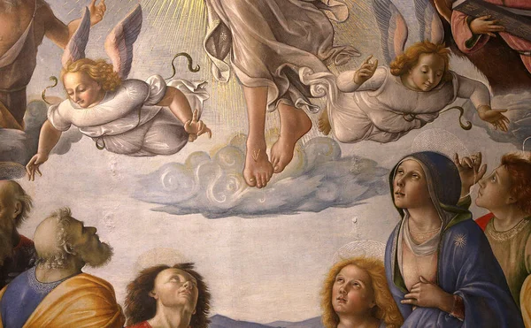 ภายในและตกแต่งโบสถ์เซียน่า ซีน่า อิตาลี — ภาพถ่ายสต็อก