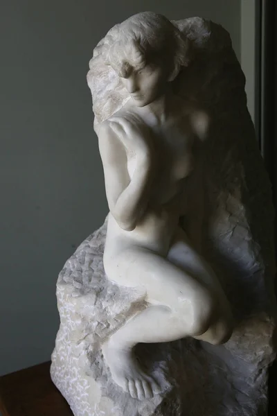 Iç mekanlar ve ayrıntılarını Rodin musem, Paris, Fransa — Stok fotoğraf