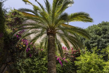 Seville, Endülüs, İspanya, 24 Mayıs 2017: iç ve ayrıntılarını Palacio de las duenas, 24 Mayıs 2017 Seville, andalusia, İspanya