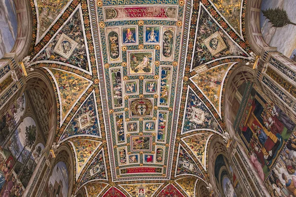 Siena Itálie Června 2016 Architektonické Detais Piccolominiho Knihovně Siena Cathedral — Stock fotografie