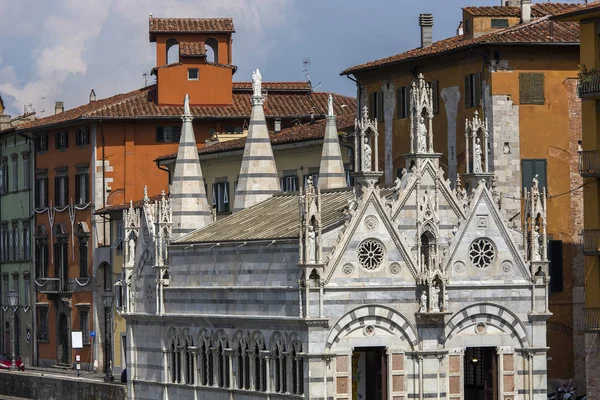 Pisa Italia Junio 2016 Detalles Arquitectónicos Catedral Santa Maria Della — Foto de Stock