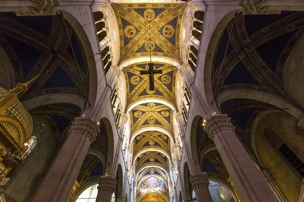 Lucca Italy June 2016 Architectural Details San Martin Duomo Cathedral — Stock Photo, Image