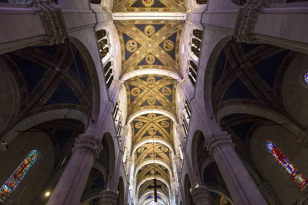 Lucca Itália Junho 2016 Detalhes Arquitetônicos Catedral San Martin Duomo — Fotografia de Stock