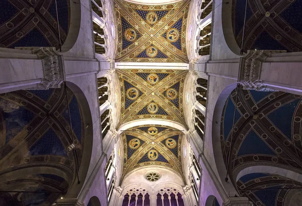 Lucca Itália Junho 2016 Detalhes Arquitetônicos Catedral San Martin Duomo — Fotografia de Stock