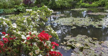 Gölet, ağaçlar ve kıçımın Fransız bir Botanik Bahçesi içinde