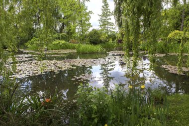 Gölet, ağaçlar ve kıçımın Fransız bir Botanik Bahçesi içinde