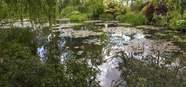 Gölet, ağaçlar ve kıçımın Fransız bir Botanik Bahçesi içinde