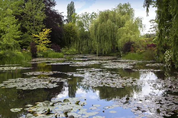 Gölet Ağaçlar Kıçımın Fransız Bir Botanik Bahçesi Içinde — Stok fotoğraf