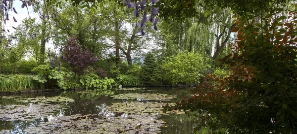 Estanque Árboles Nenúfares Jardín Botánico Francés — Foto de Stock