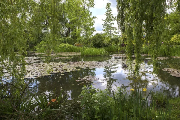 Pond Trees Waterlilies French Botanical Garden — Stock Photo, Image