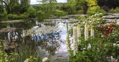 GIVERNY, FRANCE, 21 Mayıs 2015: Empresyonist bahçeler ve Claude Monet göletleri Giverny, Normandiya, Fransa