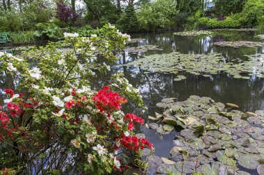 GIVERNY, FRANCE, 21 Mayıs 2015: Empresyonist bahçeler ve Claude Monet göletleri Giverny, Normandiya, Fransa