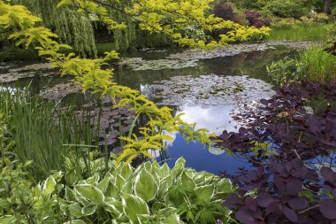 GIVERNY, FRANCE, 21 Mayıs 2015: Empresyonist bahçeler ve Claude Monet göletleri Giverny, Normandiya, Fransa