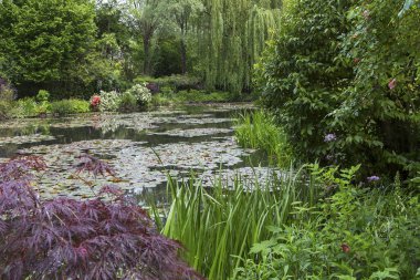 GIVERNY, FRANCE, 21 Mayıs 2015: Empresyonist bahçeler ve Claude Monet göletleri Giverny, Normandiya, Fransa