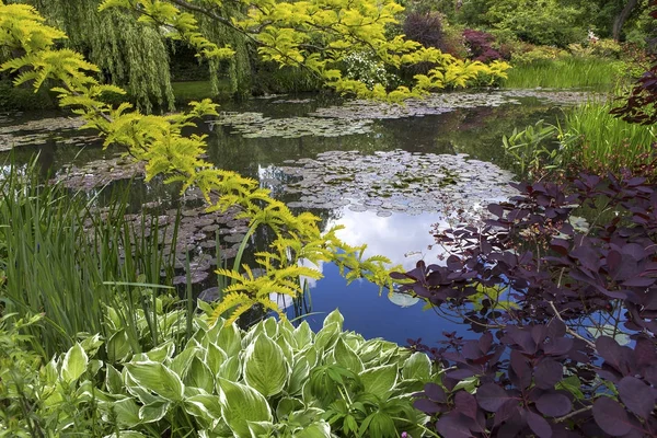 Pond Trees Waterlilies French Botanical Garden — Stock Photo, Image