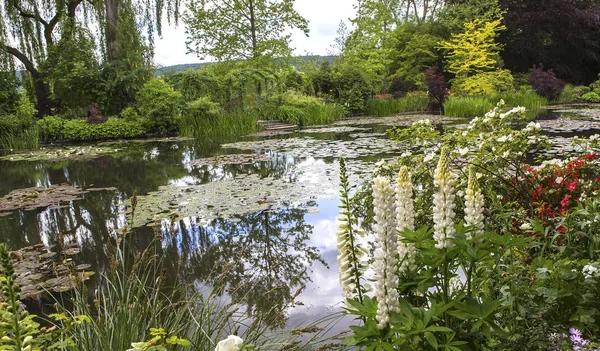 Giverny França Maio 2015 Impressionistas Jardins Lagoas Claude Monet Giverny — Fotografia de Stock