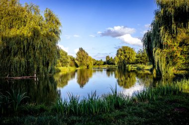 Santeny, Fransa 'da bir gölette gün batımı