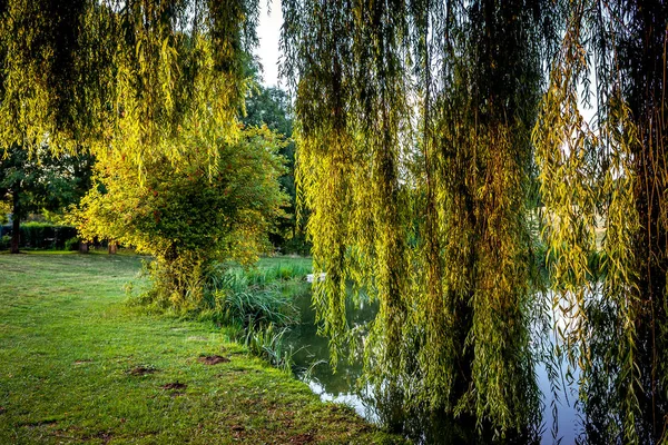 프랑스산 테니 의한 연못에서 울고 있는 버드나무 — 스톡 사진
