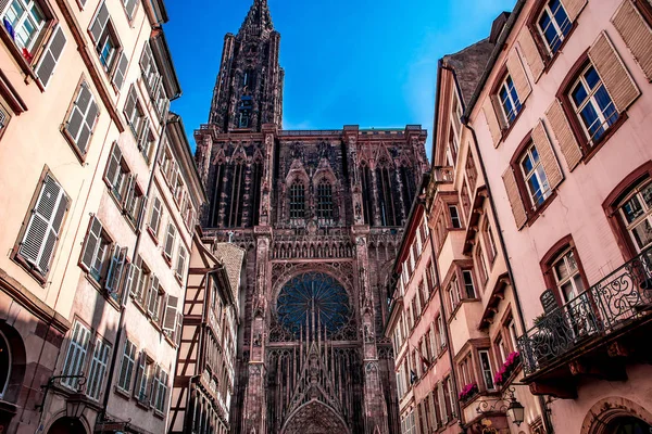 Notre dame de Strasbourg cathedral, France — Stock Photo, Image