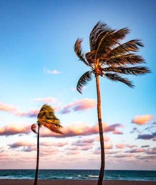Hollywood plajı, Hollywood, Florida, ABD