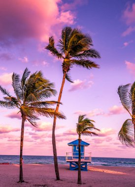 Hollywood plajı, Hollywood, Florida, ABD
