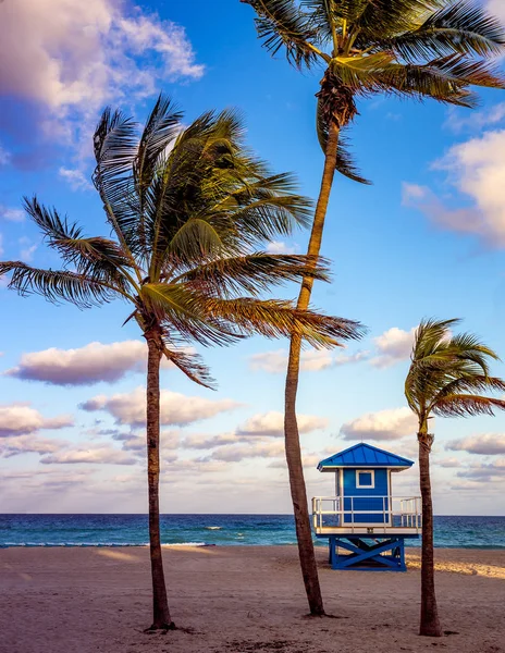 Hollywood beach, Hollywood, Florida, сша — стоковое фото