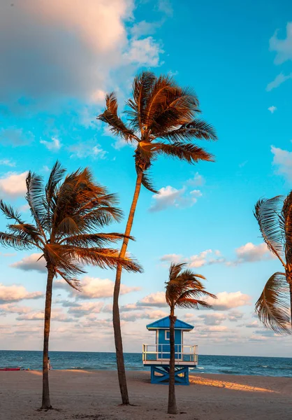 Hollywood beach, Hollywood, Florida, сша — стоковое фото