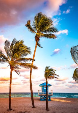 Hollywood plajı, Hollywood, Florida, ABD