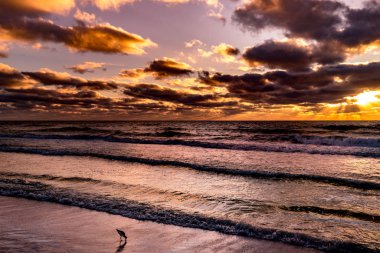 Sarasota, Florida 'da bir plajda gün batımı