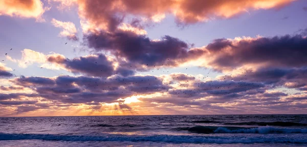 Sunset on a beach in Sarasota, Florida — Stock Photo, Image