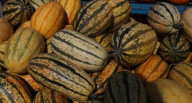 Bir pazarda squash, Montreal, Quebec, Kanada