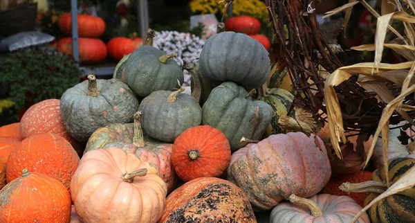 Courges dans un marché, Montréal, Québec, Canada — Photo