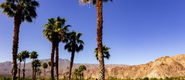 San Jacinto Dağı, Palm Springs, California
