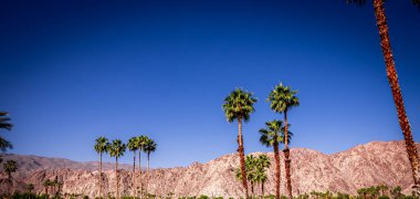 San Jacinto Dağı, Palm Springs, California