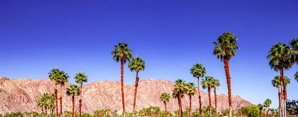San Jacinto Dağı, Palm Springs, California