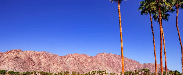 San Jacinto berg, palmveren, Californië — Stockfoto