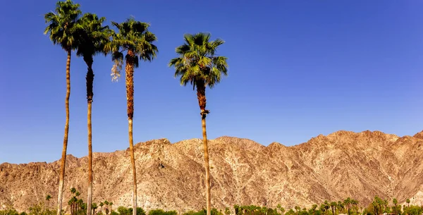 山，棕榈泉，加州 — 图库照片